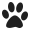 icon 0
